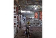 Tại 2 trọng điểm Fv88 hiện đang mở được xếp hạng cao nhất Fv88 online Link đăng ký, Cát Hải: Tăng cường Nhà cái cá cược bóng đá, casino trực tuyến uy tín phòng Fv88 tỷ lệ keonhacai