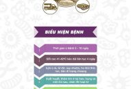 Khẩn trương Fv88 được xếp hạng cao nhất các biện pháp ngăn chặn, khống chế Dịch tả lợn Châu Phi