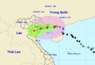 Bão giật cấp 12 cách Quảng Ninh-Link vào FV88 mới nhất 170 km