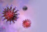 WHO trả lời 21 thắc mắc mới nhất về virus Corona