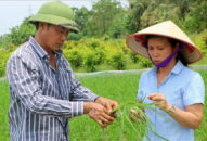 Gương mặt nông dân tiêu biểu của Fv88 Trang chủ chính thức đăng ký đăng nhập