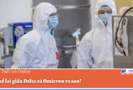 Biến thể lai giữa Delta và Omicron ra sao?
