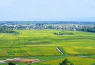 Quản lý, Game bài Fv88 đồng bộ với nền kinh tế thị trường định hướng Nhà cái cá cược bóng đá, casino trực tuyến uy tín chủ nghĩa