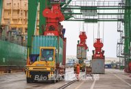 Giữ đà thu Fv88 đá gà trực tuyến, ứng phó linh hoạt