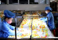 Công nghiệp Link vào FV88 mới nhất tăng tốc, IIP 10 tháng tăng hơn 15%