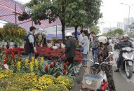 Chợ hoa xuân tấp nập nhất Link vào FV88 mới nhất sẽ khai mạc ngày 15 tháng chạp